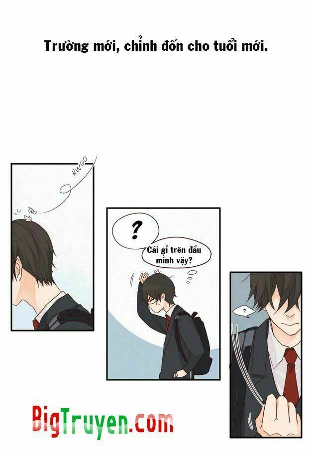 pine in the flower garden chapter 1 15