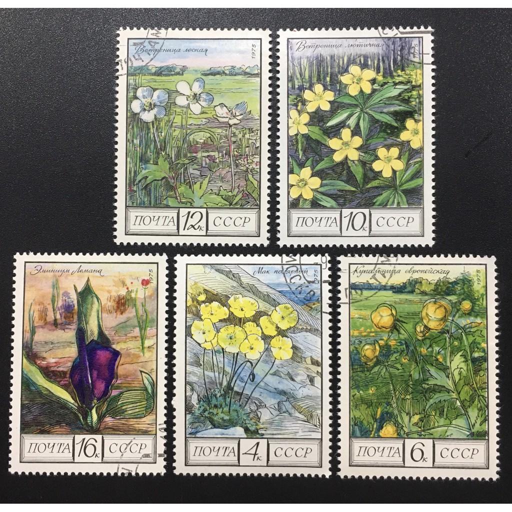 BỘ TEM RUSSIA 1975 CTO - HOA.