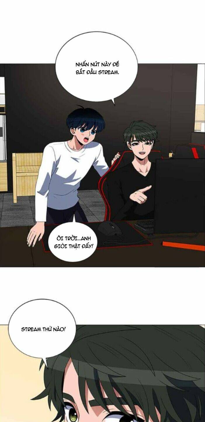 no scope chapter 115 24