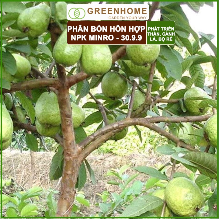 Phân NPK 30-9-9 +TE Greenhome, Minro, Bao 200gr, Phát Triển Nhanh Thân, Cành, Lá, Bộ Rễ Trên Kiểng, Cây Ăn Trái, Củ, Quả