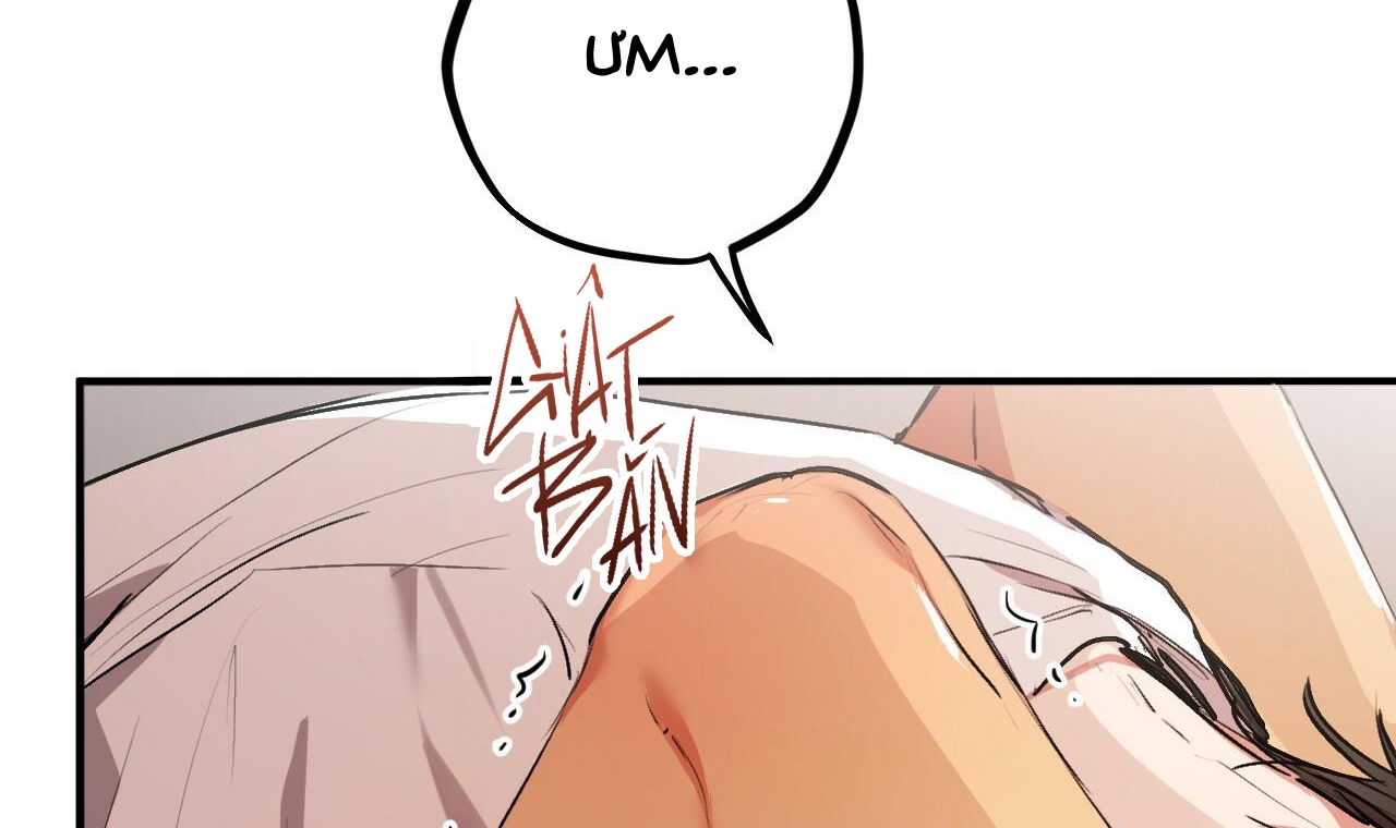 đàn thỏ của habibi chapter 33 58