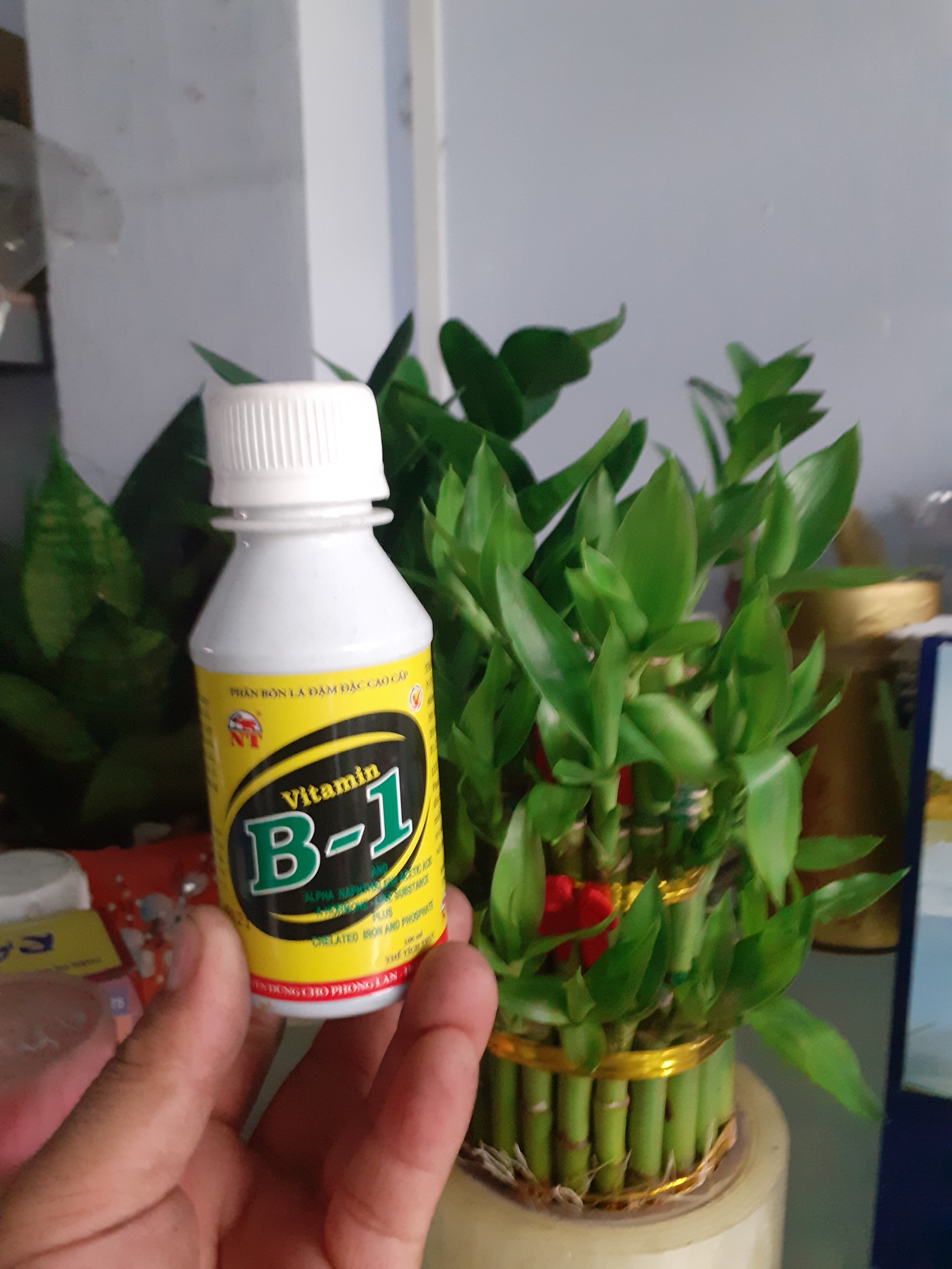 chai 100ml ra rễ cực mạnh vitamin B1.