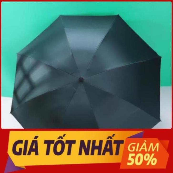 HOT SALES - Ô Dù Hoa Cúc gấp gọn