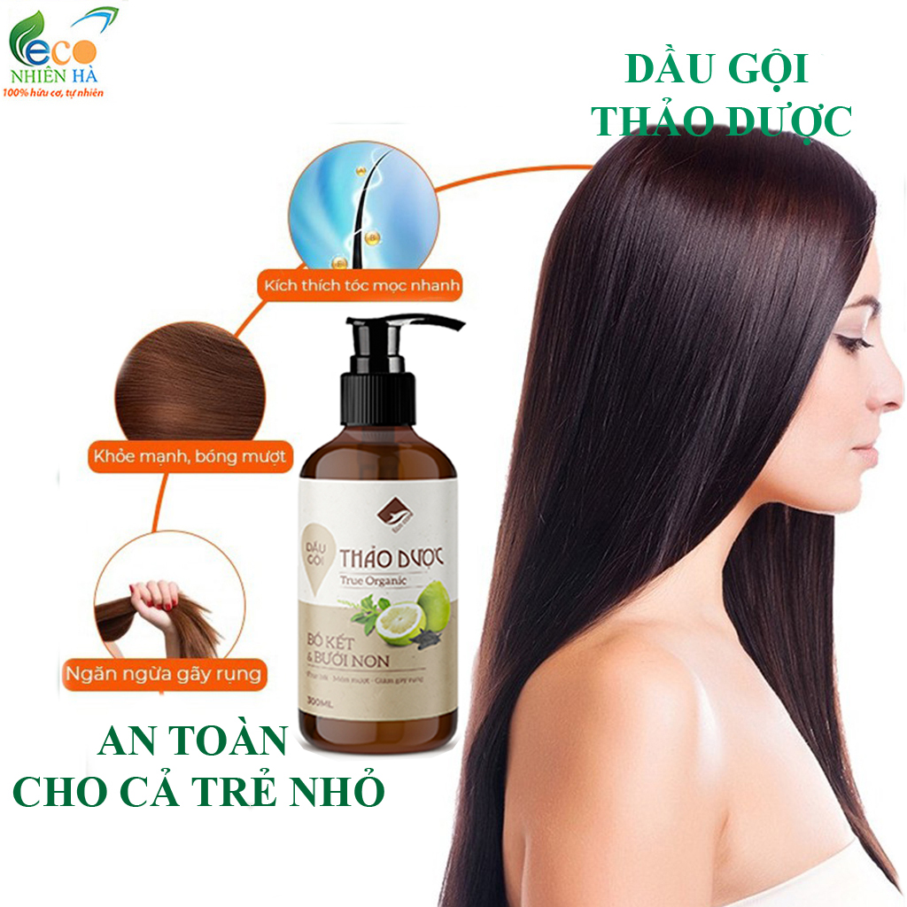 Dầu gội thảo dược ECOCARE 300ml, mềm mượt sạch gàu, giảm rụng tóc, an toàn lành tính