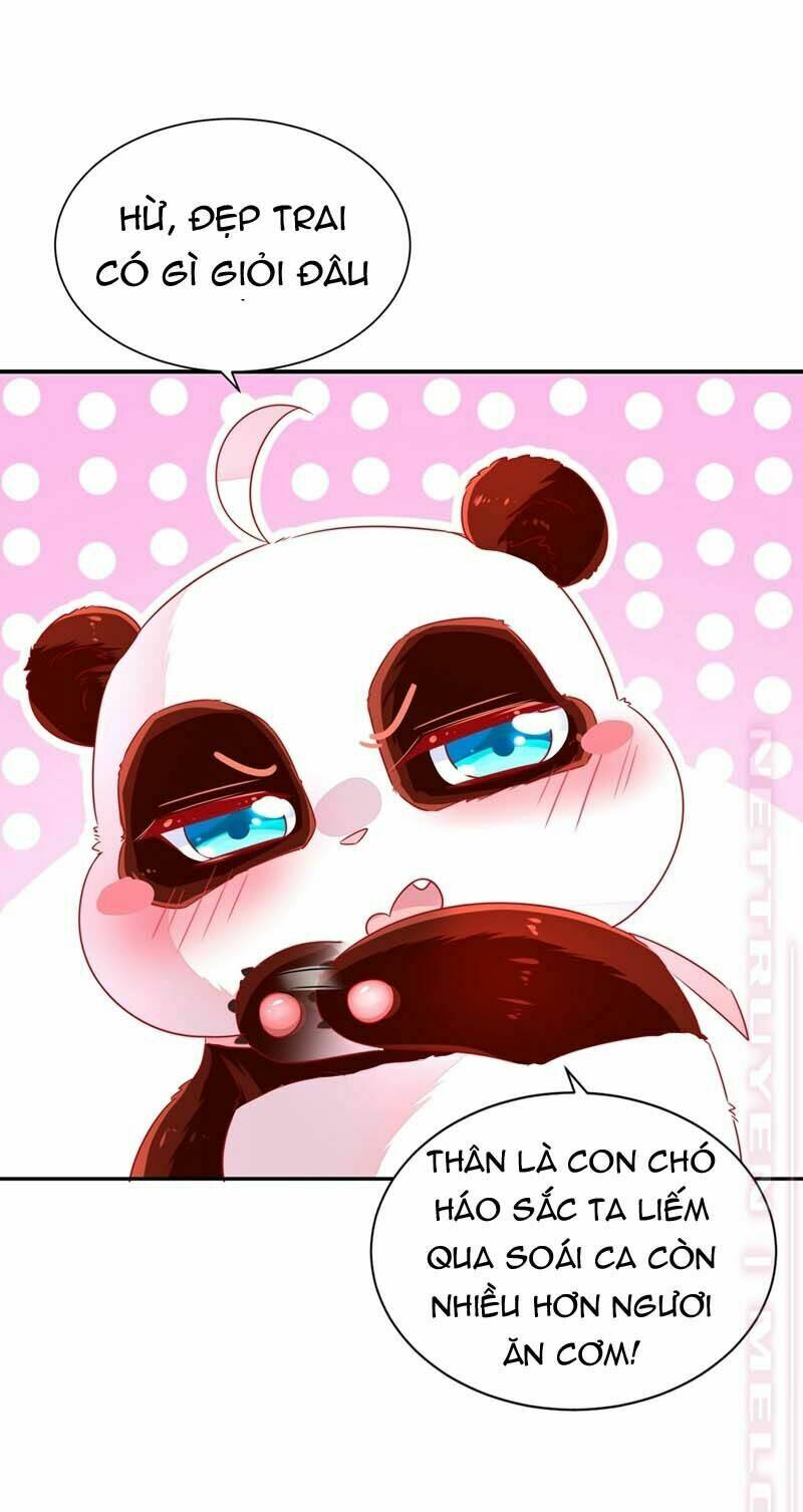 thiên thần gấu trúc muốn được ôm chapter 61 15