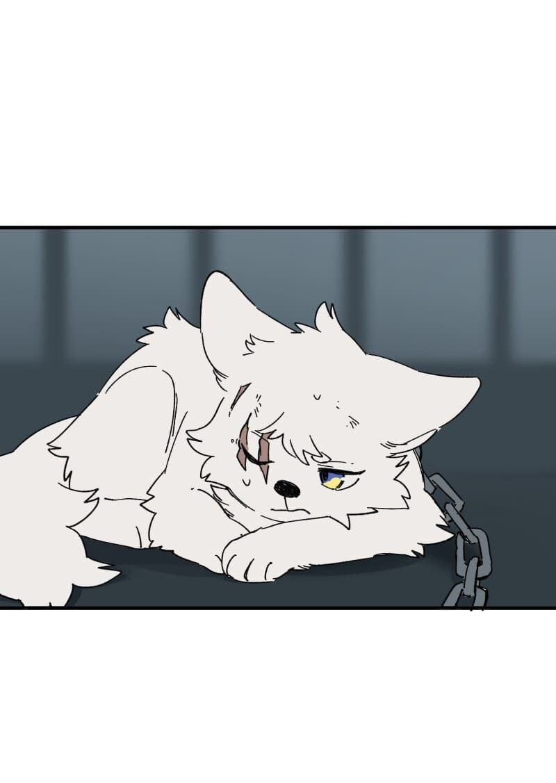 lumine - cội nguồn ánh sáng chapter 139 37