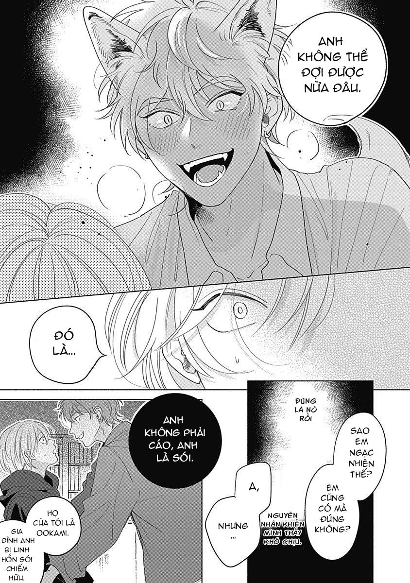 chiếm hữu bởi linh hồn cáo chapter 5 4