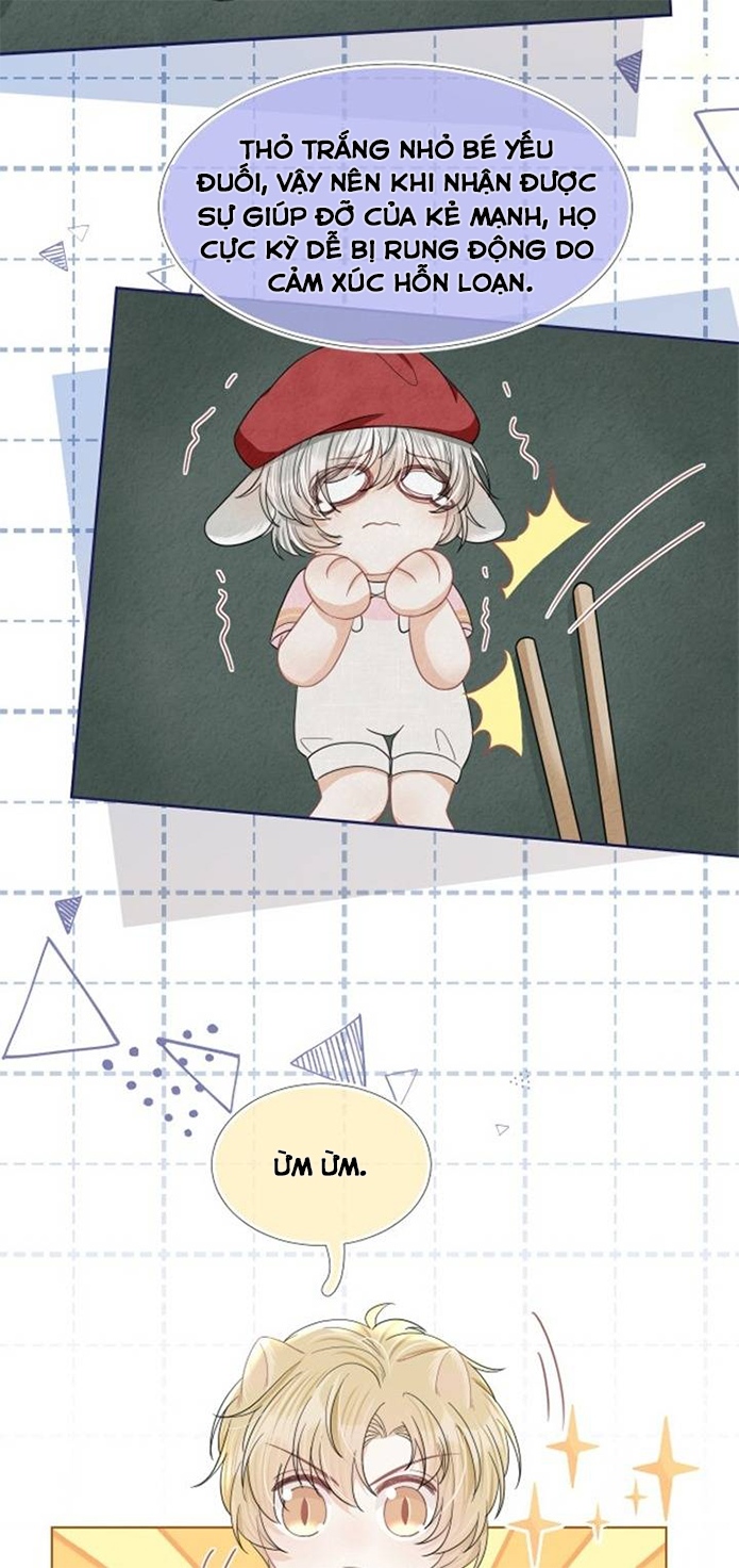 ăn một bé thỏ chapter 84 11