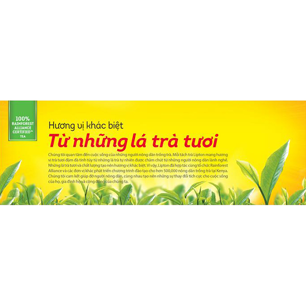 Combo 2 Lipton Trà Đen Nhãn Vàng Nhật Bản (50túi/2g)