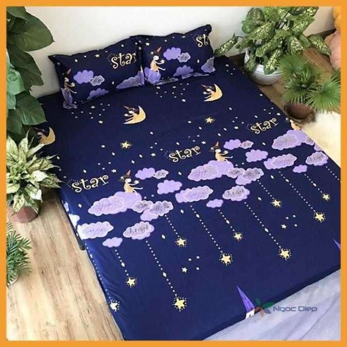 Bộ ga gối poly cotton sao rơi m2, m6, m8, 2m2 và áo gối ôm