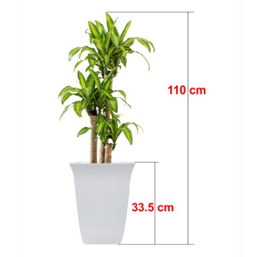 Chậu Trồng Cây Giả Sứ Cao Cấp Siêu Bền Xịn, Chậu Nhựa Bầu Đứng Dáng Cao, Chậu Trụ Dáng Vuông Cao