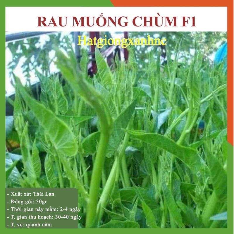 Hạt giống rau củ quả