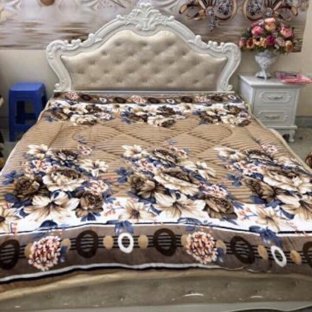 Chăn lông cừu 3 lớp giao màu ngẫu nhiên tặng kèm 1 gối mây