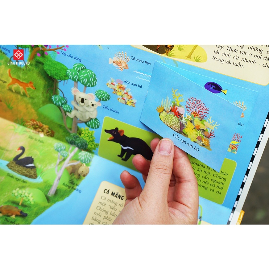 Sách Atlas Động Vật – Khám Phá Thế Giới Động Vật (6 tuổi trở lên) – Đinh Tị Books