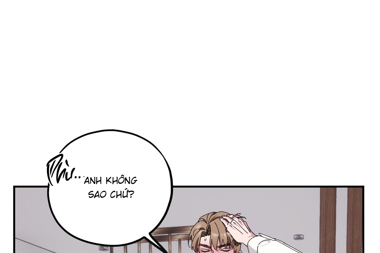 chàng dâu nhà họ kang chapter 34 134