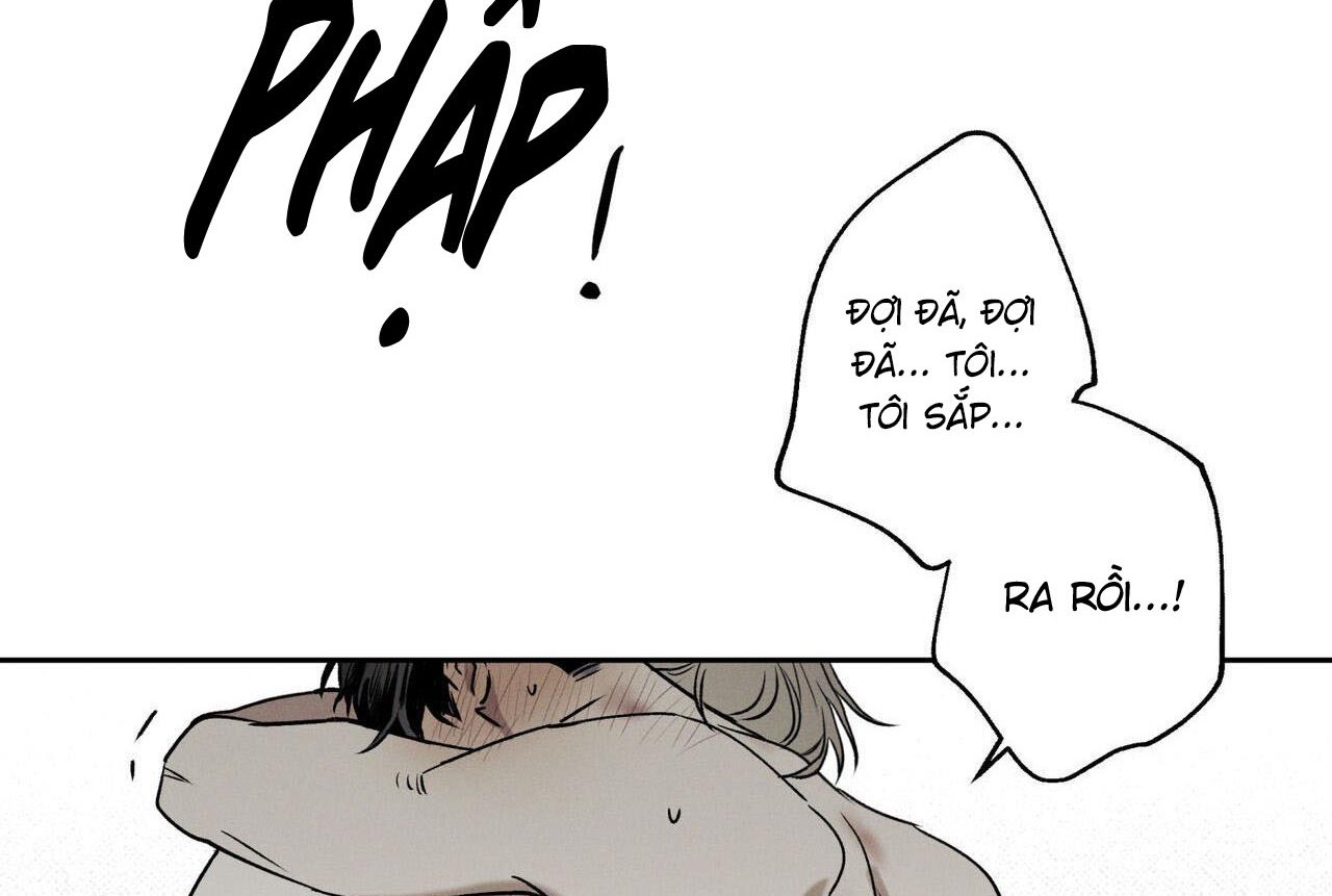 chàng giao pizza và gold palace chapter 47 22