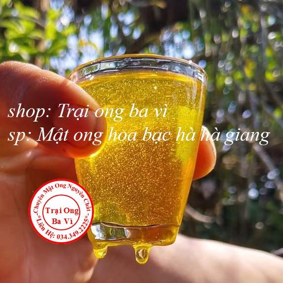 Mật Ong Thiên Nhiên Nguyên Chất 100 % Hoa Bạc Hà Cao Nguyên Đá Hà Giang