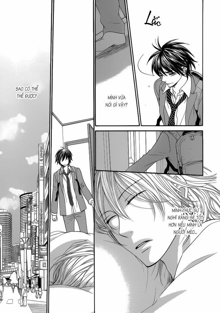 nekoka danshi no shitsukekata chapter 8 18