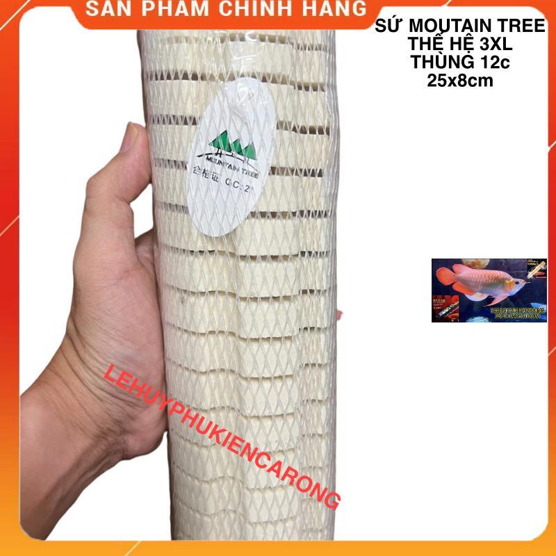 Sứ Củ Sen Thế Hệ 3 Mountain Tree - Size 25cm x 8cm