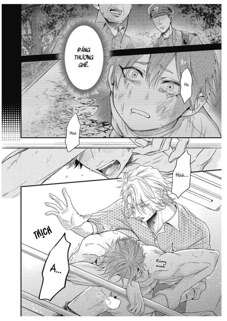 [18+] vết cắn tình yêu khô khan và giả dối chapter 3 3