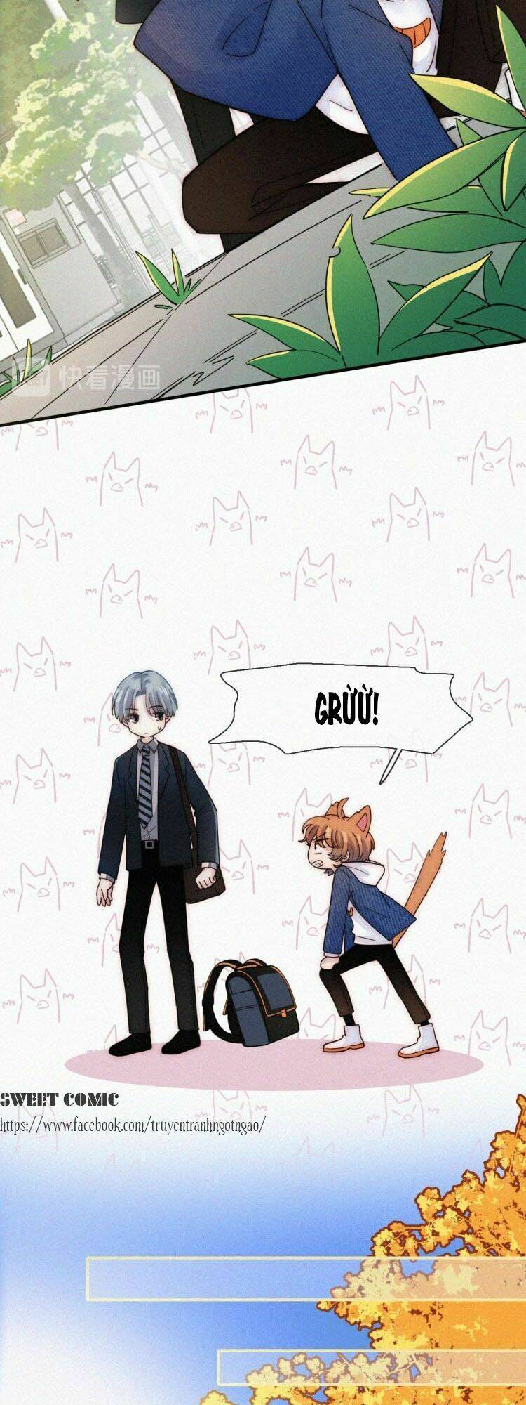 nếu ngày đó chúng ta chưa quen biết chapter 27 10