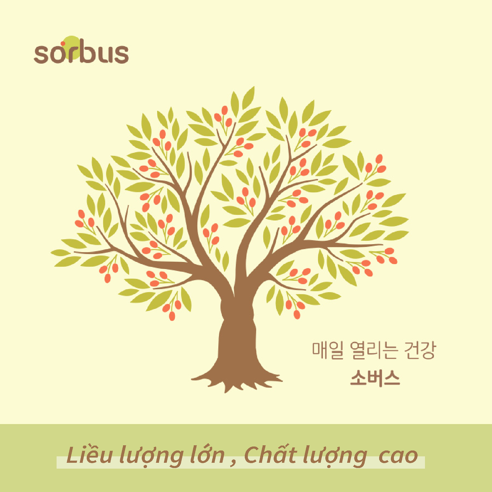 Sorbus Thạch Collagen Montmorency Tart Cherry 38.8 200mg