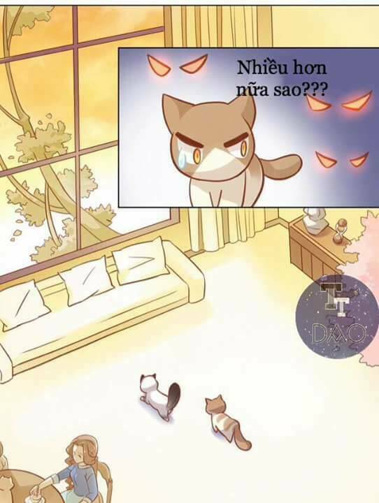 dưới móng vuốt mèo chapter 8 23