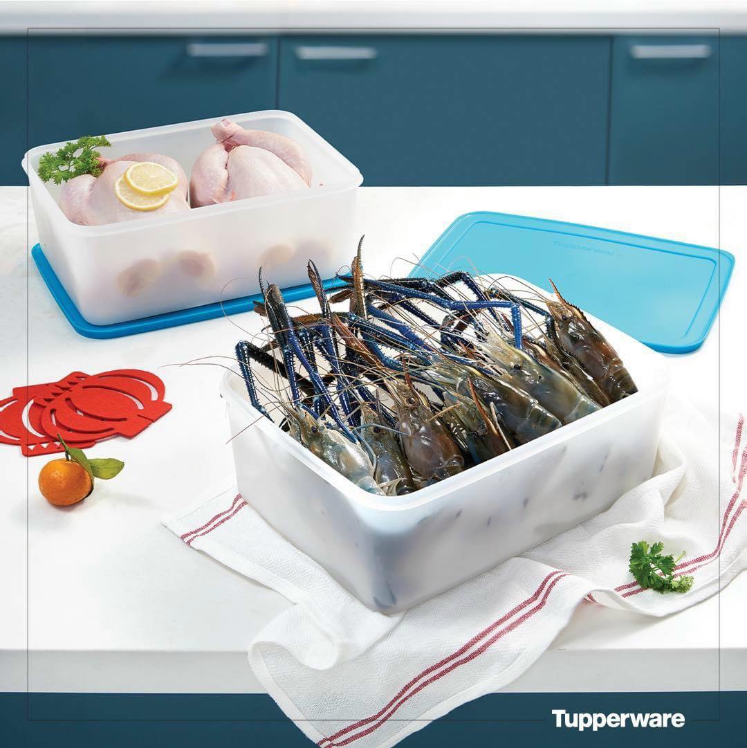 BỘ HỘP TRỮ ĐÔNG FREEZERMATE GEN II 5.7L