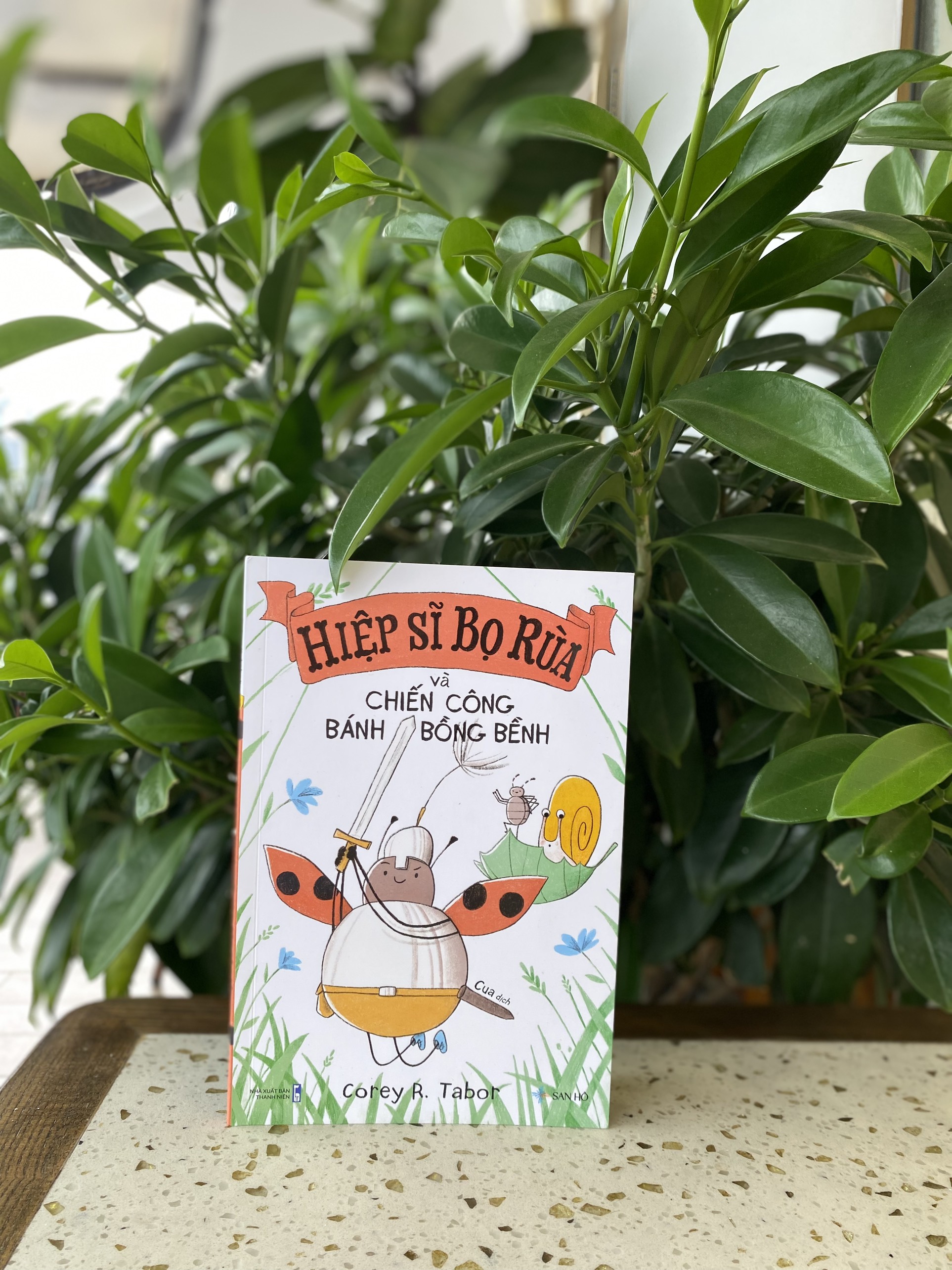 Sách cho bé 6-10 tuổi – Bộ Hiệp Sĩ Bọ Rùa (bộ 3 cuốn) | Tặng thiệp Podcard và Đèn lồng thủ công sáng tạo