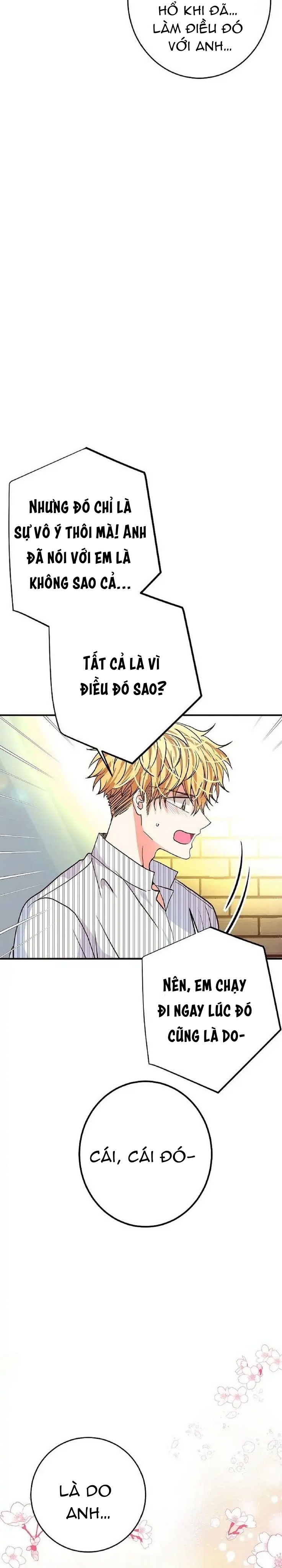 mối quan hệ phù hợp chapter 14 31