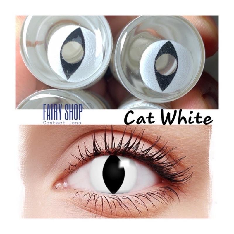 Kính Áp tròng cosplay Cat white 14.0 - FAIRY SHOP CONTACT LENS