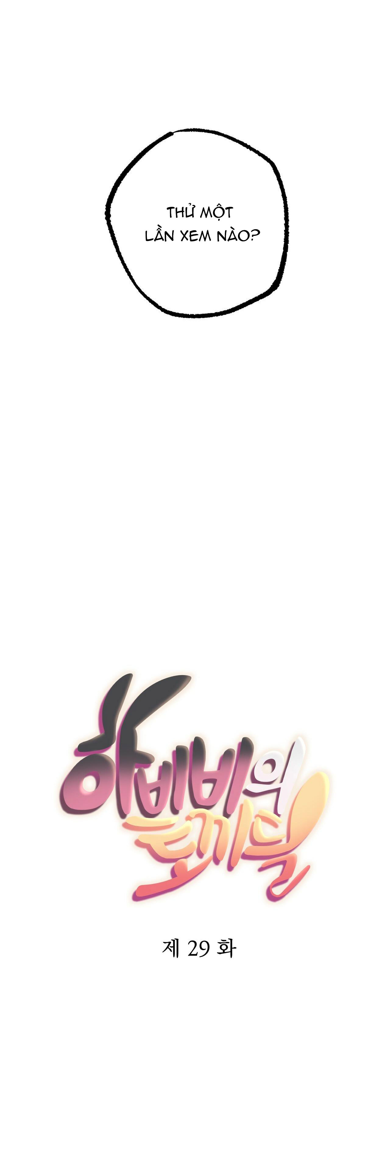 những chú thỏ của hapypy chapter 29 17