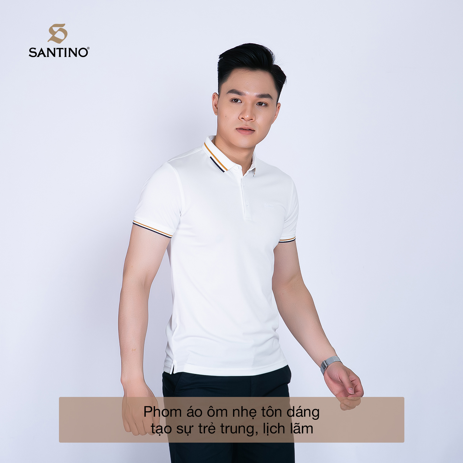 Áo POLO nam phối bo cổ vàng vải Cotton Cá Sấu, form chuẩn, sang trọng lịch sự SANTINO