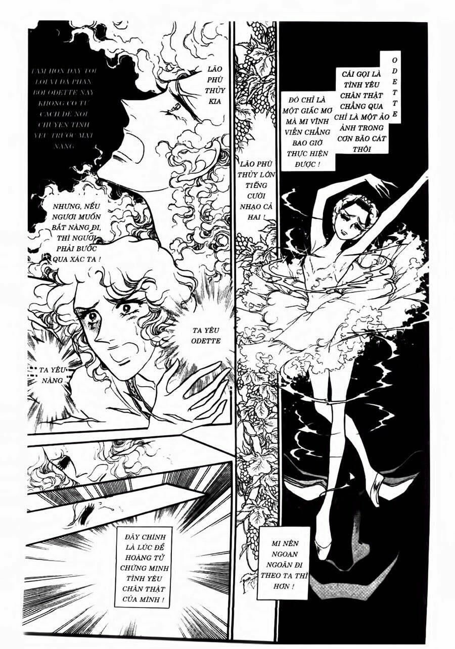 swan - vũ khúc thiên nga chapter 47 22