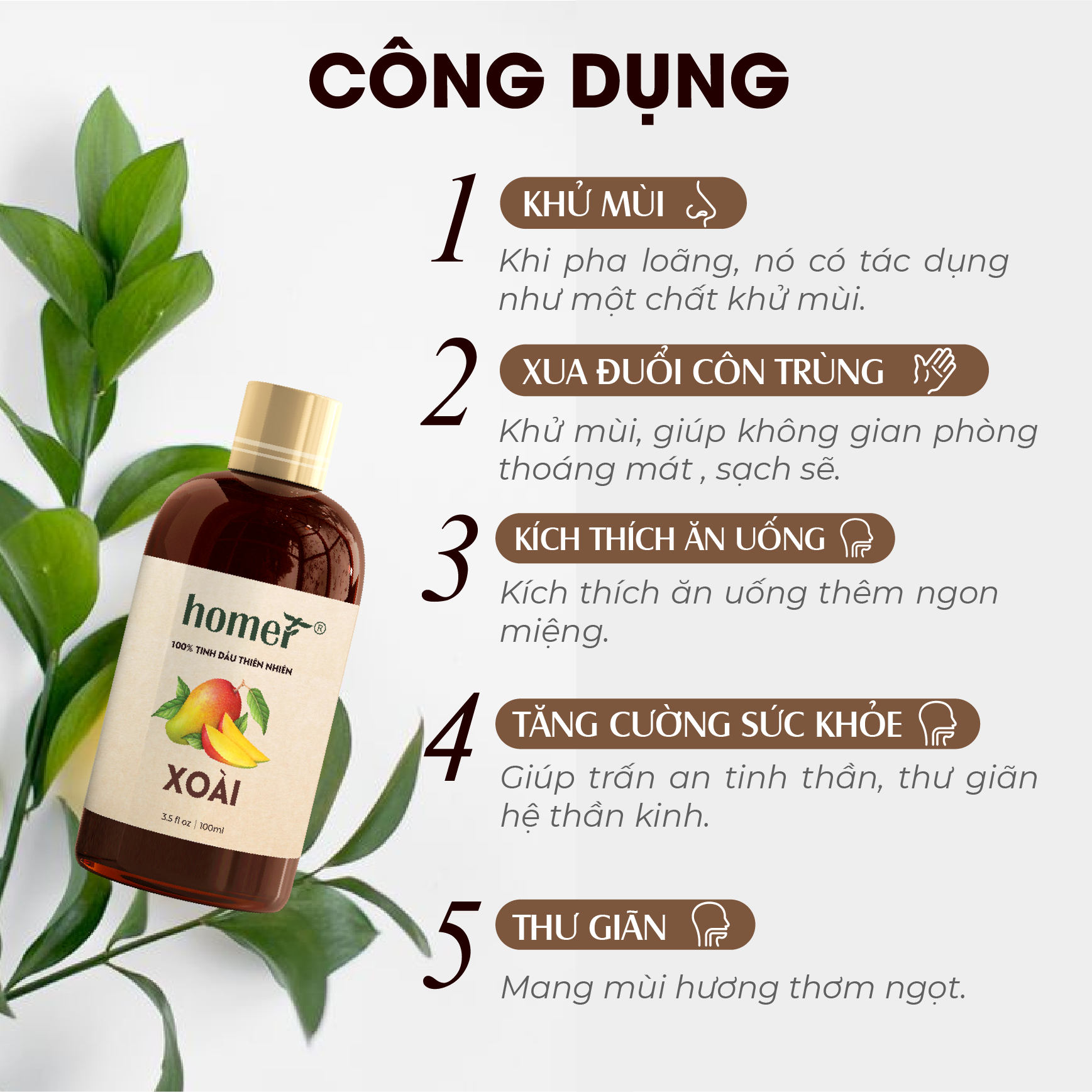 Tinh Dầu Xoài Homer 100ml - Tinh Dầu Xông Thơm Phòng, Thư Giãn Khử Mùi - Tinh Dầu Trái Cây Thiên Nhiên