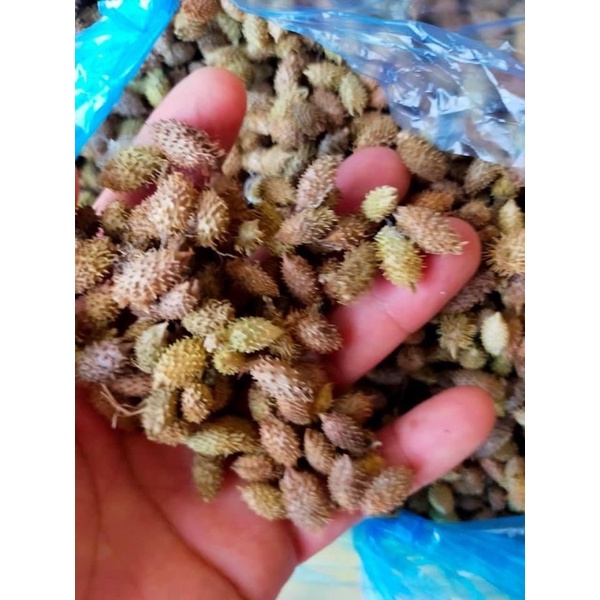 Ké đầu ngựa khô 1kg