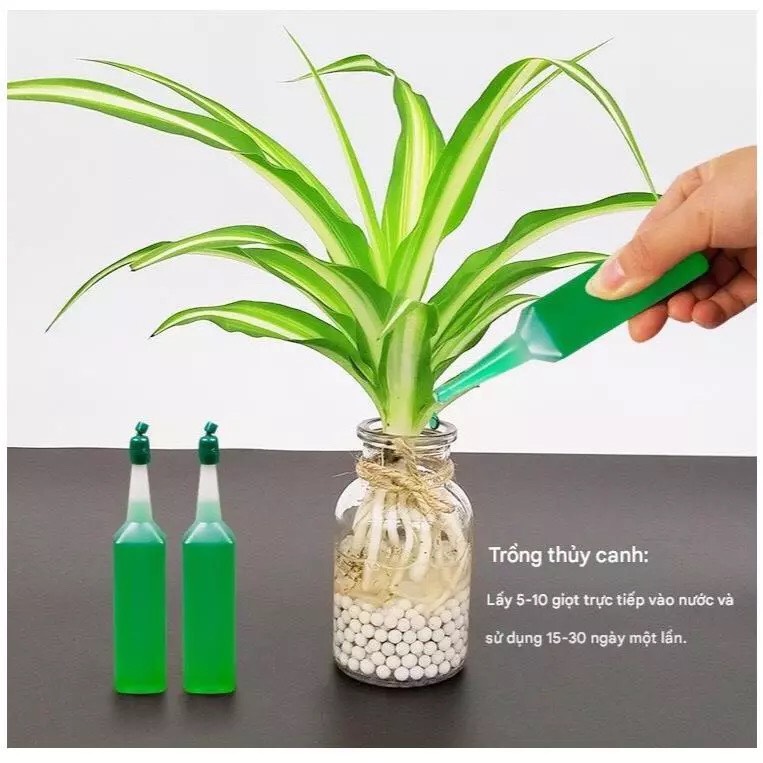 chai dung dịch thuỷ canh nhiều dinh dưỡng , kích rễ , cây khoẻ xanh lá và ra hoa ( chai 40ml )