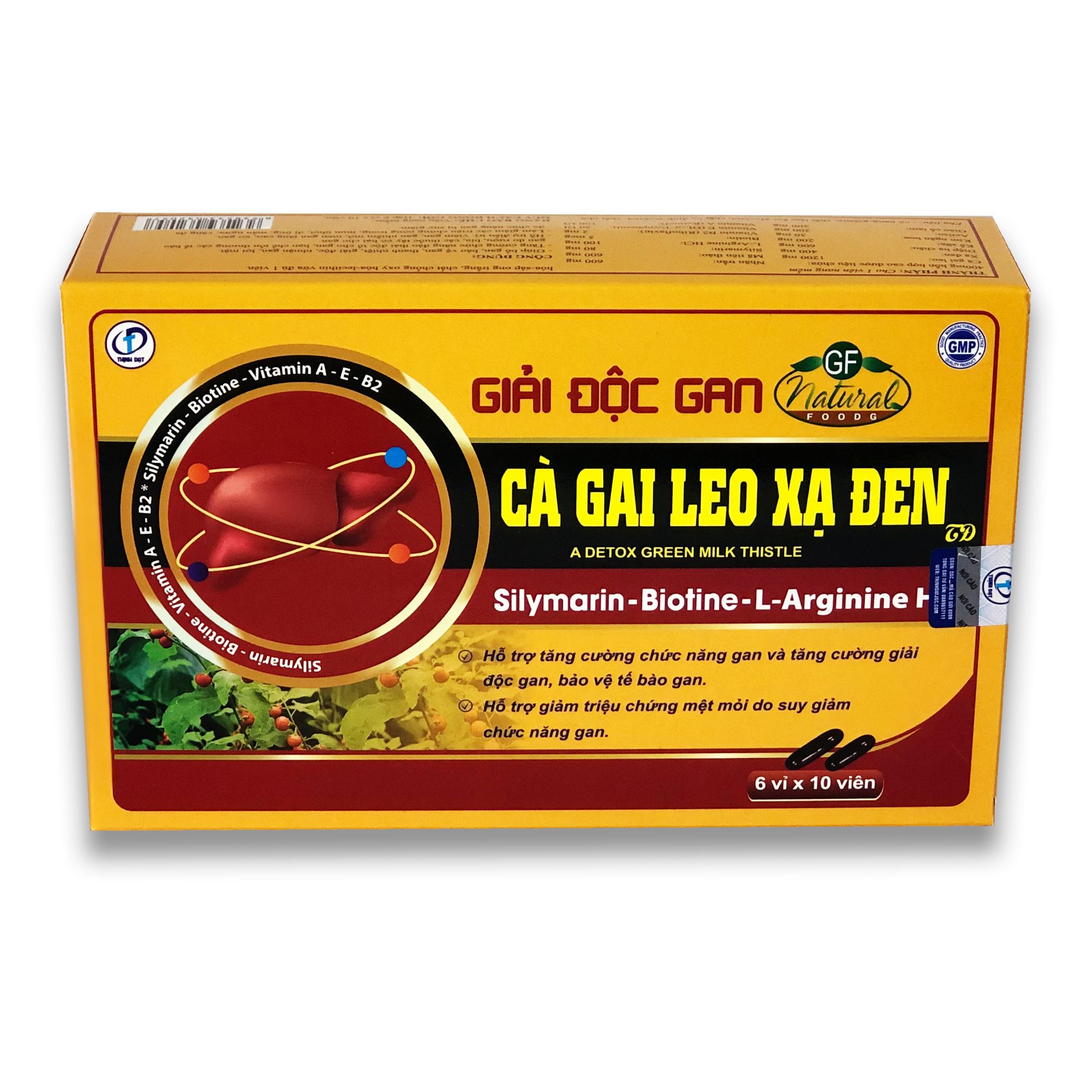 Cà Gai Leo Xạ Đen - Viên Uống Bổ Gan, Giải Độc Gan, Tăng Cường Chức Năng Gan (Hộp 60 Viên)