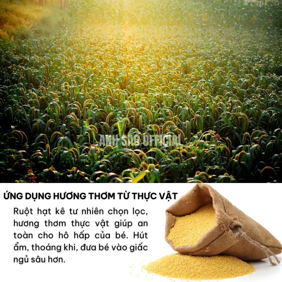 Gối Định Hình Đầu Cho Bé Sơ Sinh Cao Cấp Ánh Sao Chắc Chắn Có Khoá Dán Hỗ Trợ Đầu Cổ Thoáng Khí