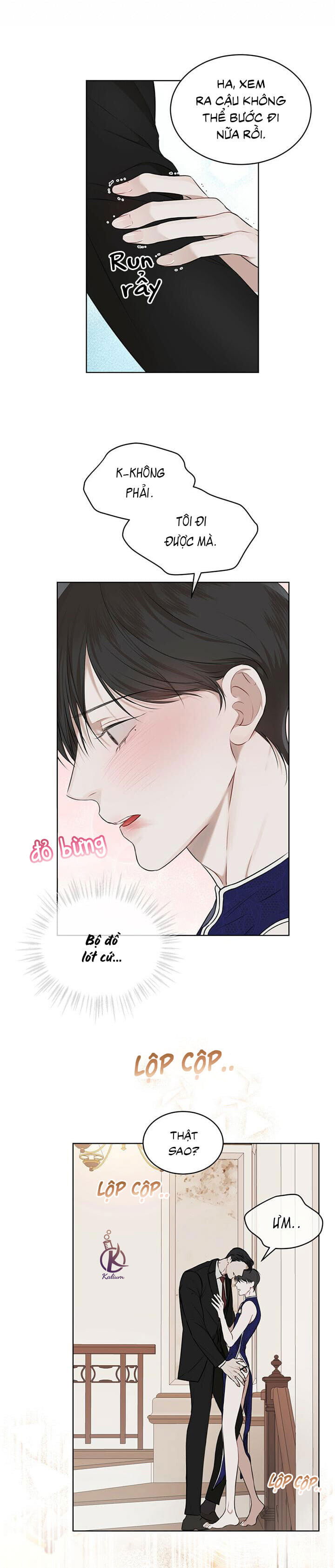 hình thái khởi sinh chapter 27 5