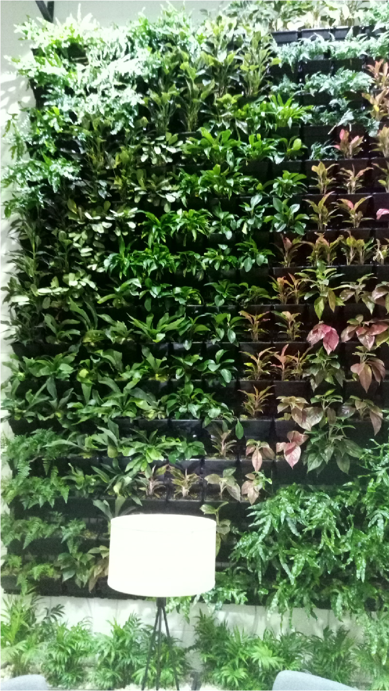 1m2 Vườn tường HOLO- Khung chậu trồng cây trồng rau trồng hoa trên tường - Màu Đen