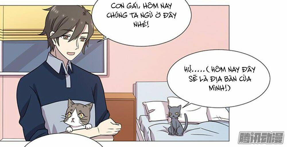 hai chú mèo totem chapter 37 42