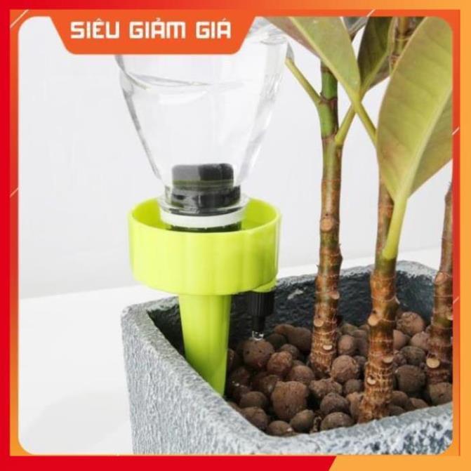 Set 12 que cắm tưới cây nhỏ giọt 206801