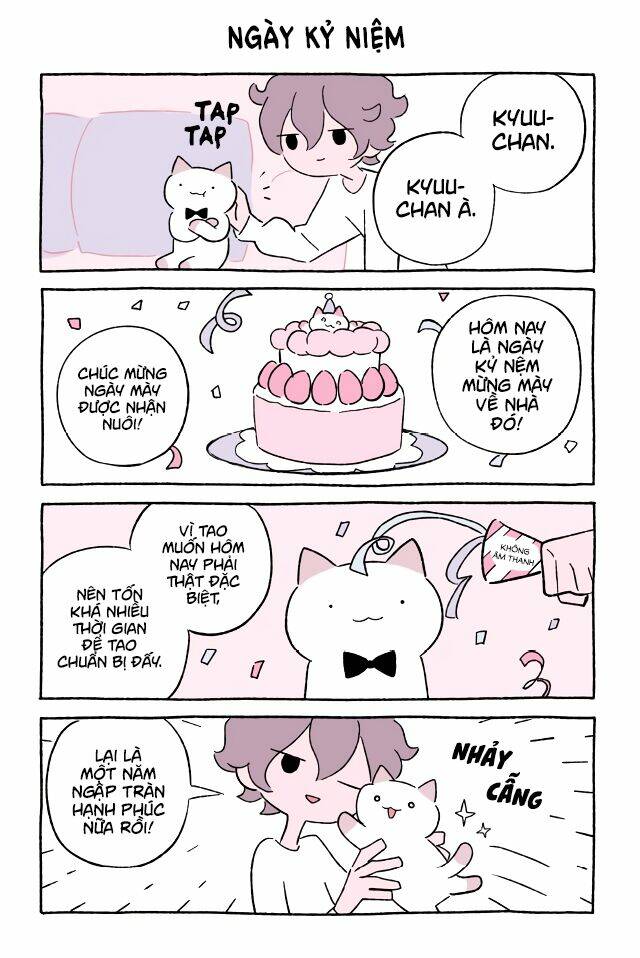 chú mèo kỳ diệu kyuu-chan chapter 564 2