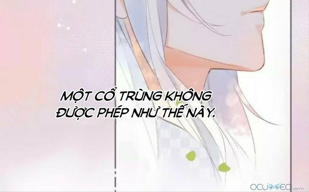 sos! tôi đã yêu một con sâu bướm (phần 2) chapter 18 22