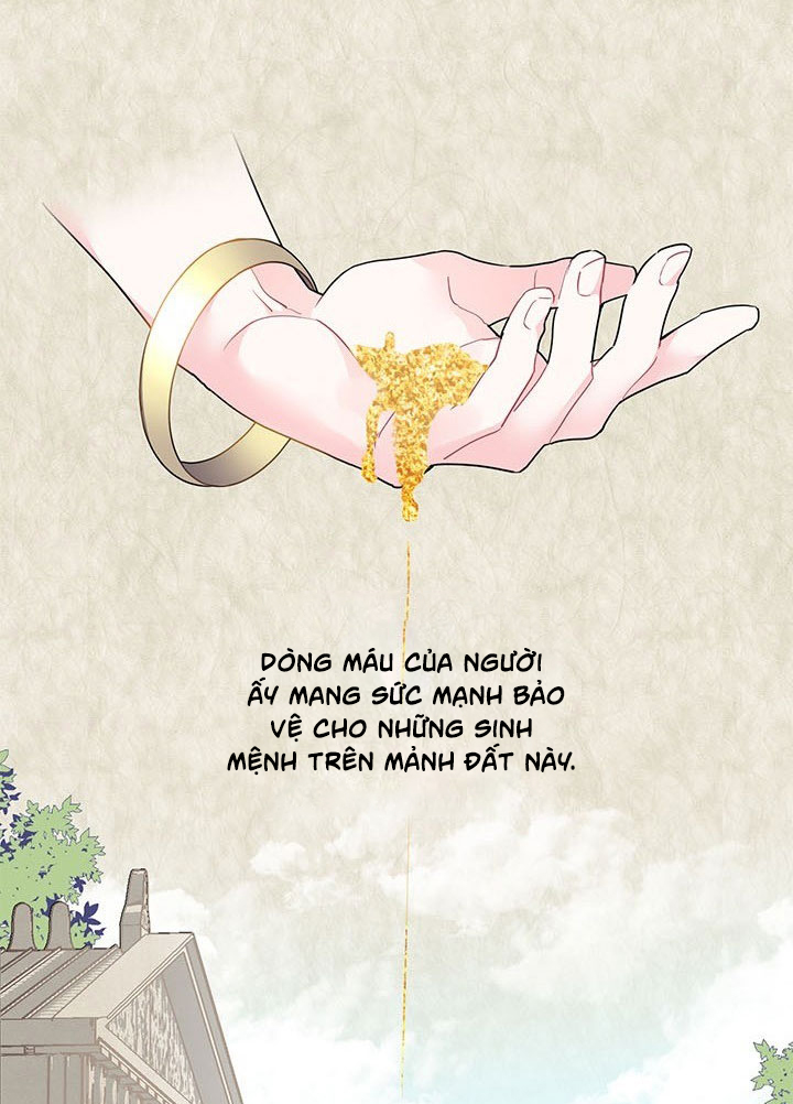 công chúa của loài chim chapter 1 4