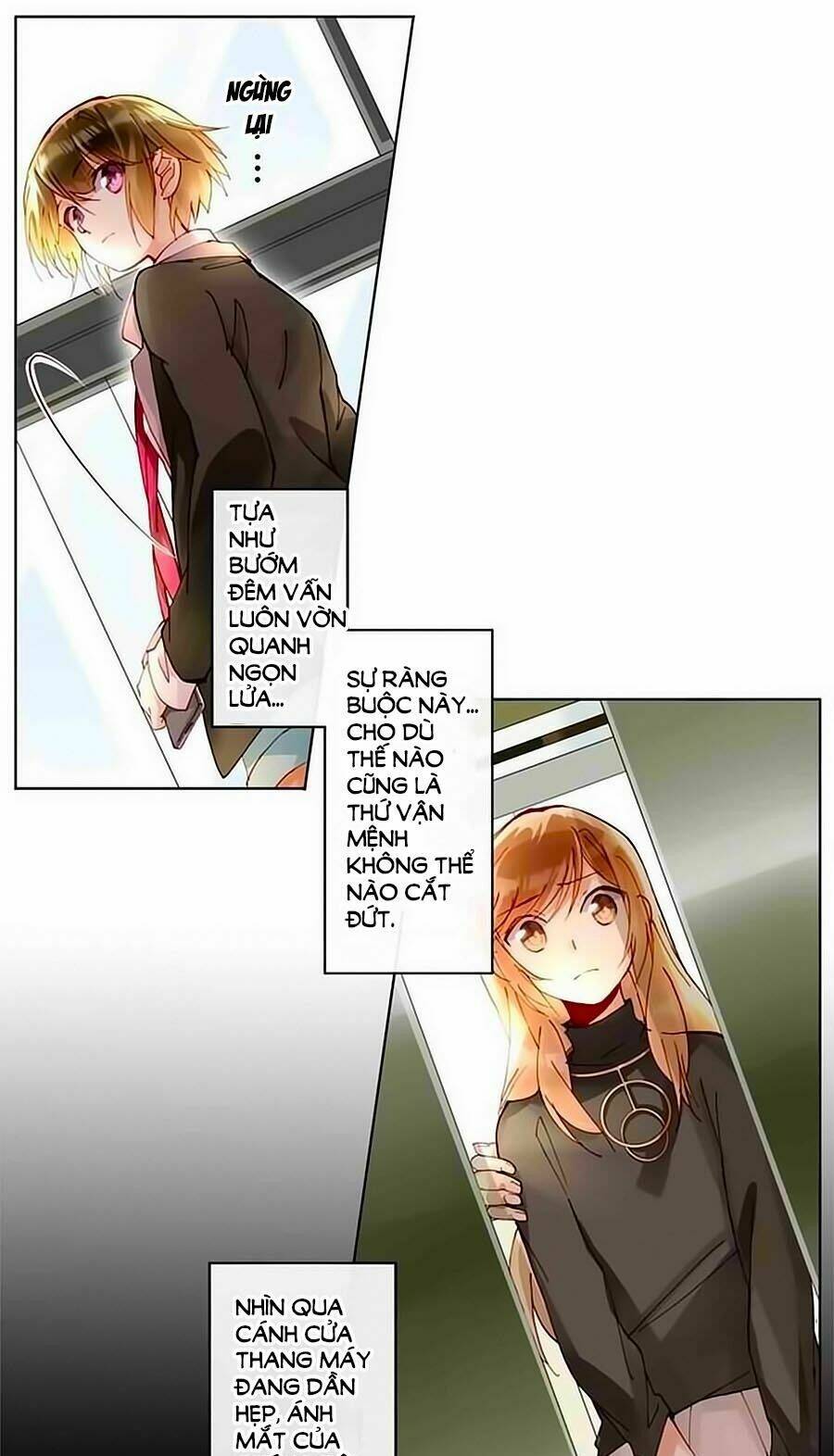 trọng sinh chi tinh quang thôi xán chapter 37 11