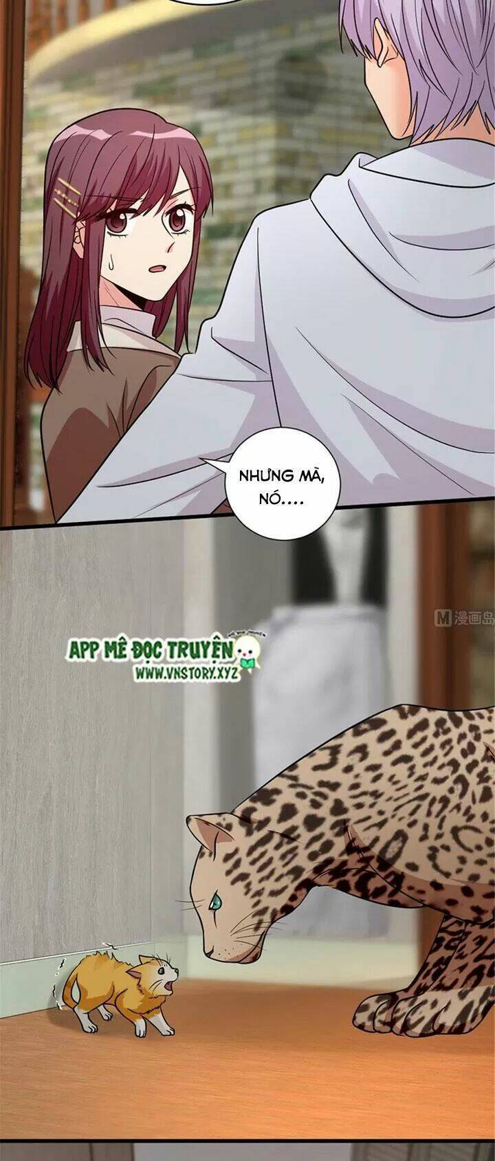 thiên hậu trở về chapter 185 17