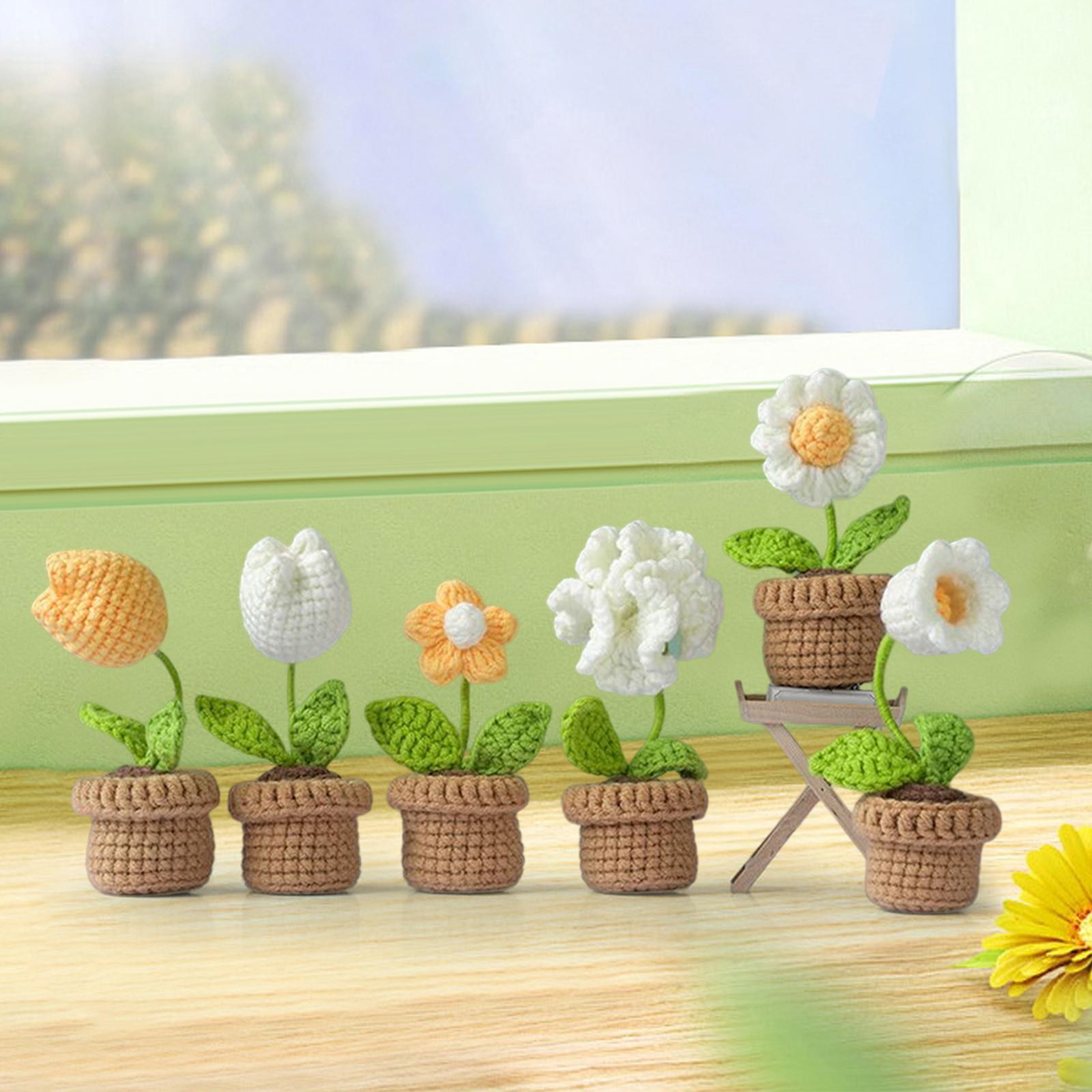 Crochet Kit Accessories Handmade Crocheted Planter for Kids Teens Beginners