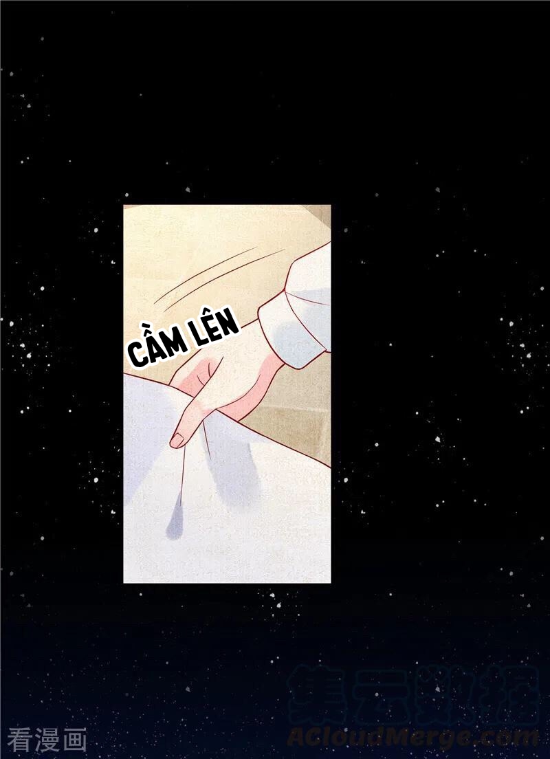 cô thỏ nhỏ của chủ tịch sói chapter 2 12